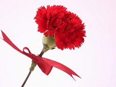 ČESTITKA VODSTVA GRADA NOVA GRADIŠKA POVODOM DANA ŽENA