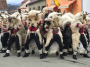 Počela sezona poklada – Cernik posjetili Grobnički dondolaši /VIDEO + FOTO/